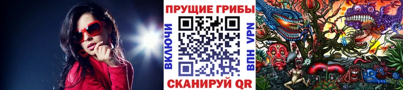 Псилоцибиновые грибы Psilocybine cubensis  Сенгилей 
