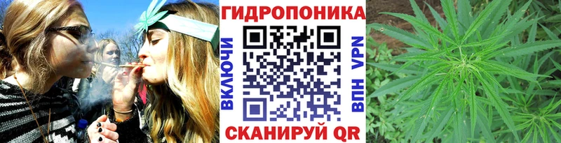 Марихуана гибрид  Сенгилей 